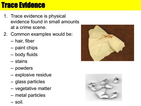 orensic scientists analyze pieces of evidence in a laboratory|examples of trace evidence.